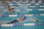 Swim vs Bentley  Wheaton College Swimming & Diving vs Bentley University. - Photo by Keith Nordstrom : Wheaton, Swimming & Diving